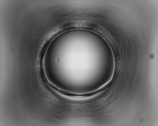 X0000098130727200804171520
