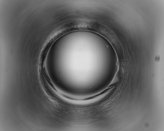 X0000098130728200804171520
