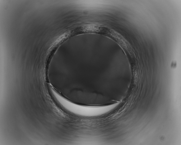X0000098130729200804171520