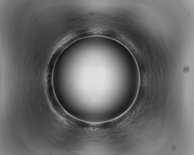 X0000098130730200804171520