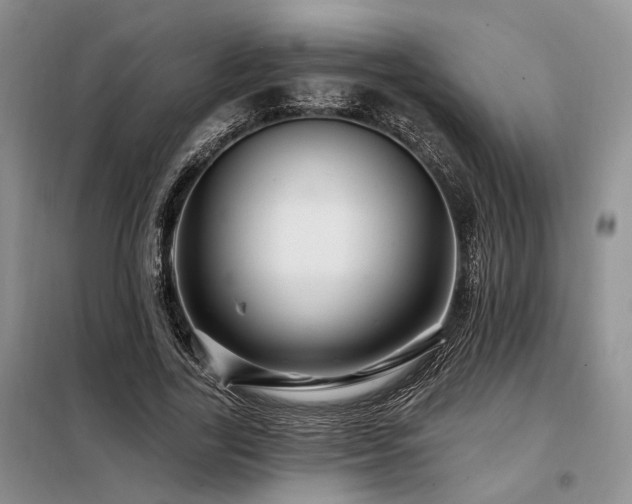 X0000098130731200804171520