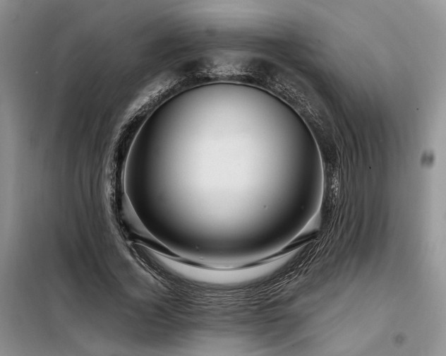 X0000098130732200804171520