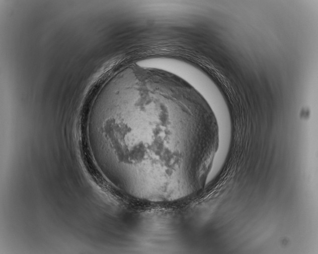 X0000098130734200804171521