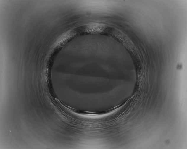 X0000098130735200804171521