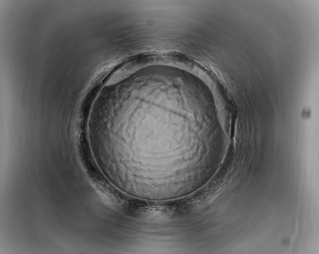 X0000098130736200804171521