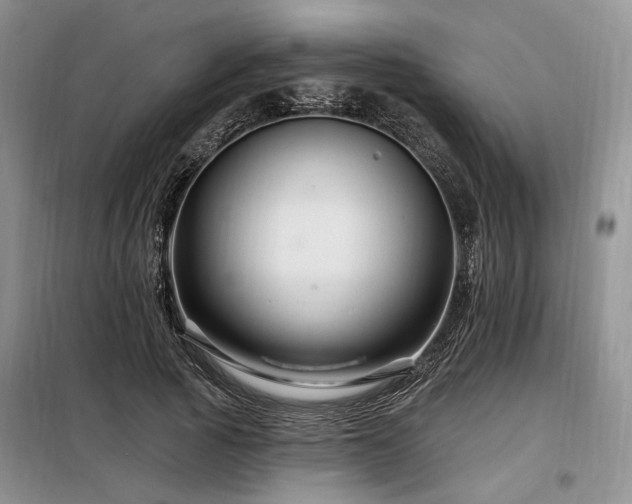 X0000098130737200804171521