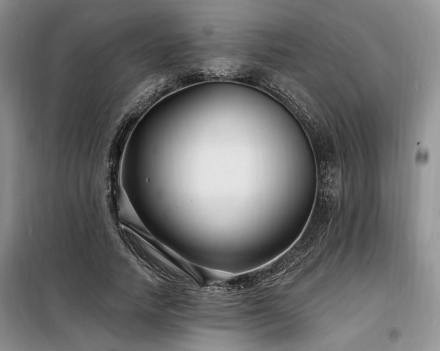 X0000098130738200804171521