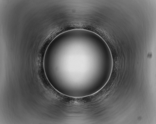 X0000098130739200804171521