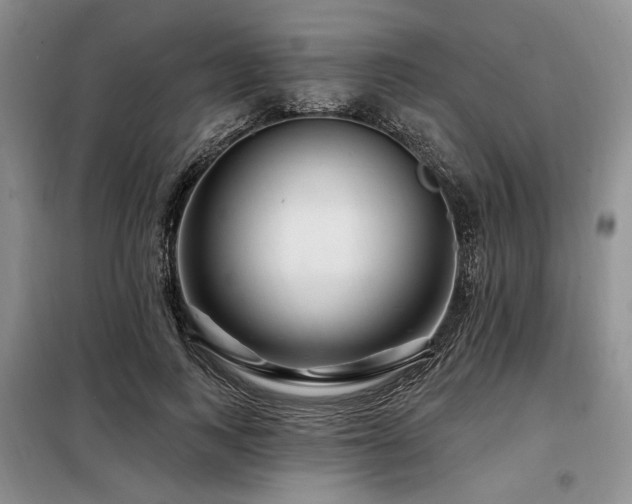 X0000098130743200804171521