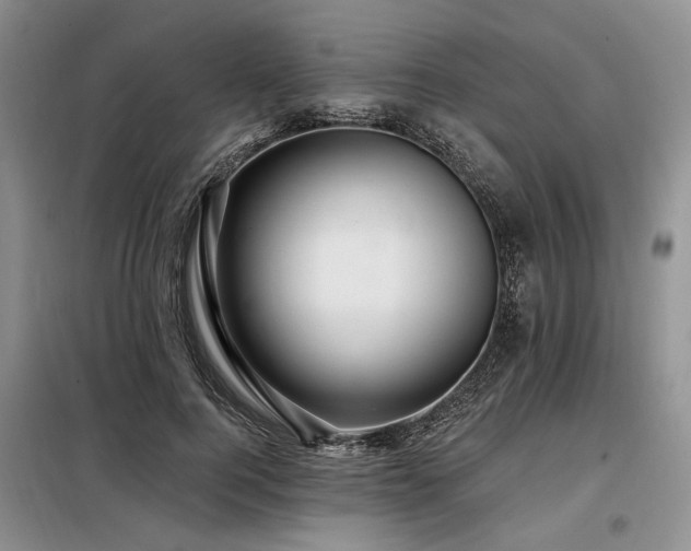 X0000098130744200804171521