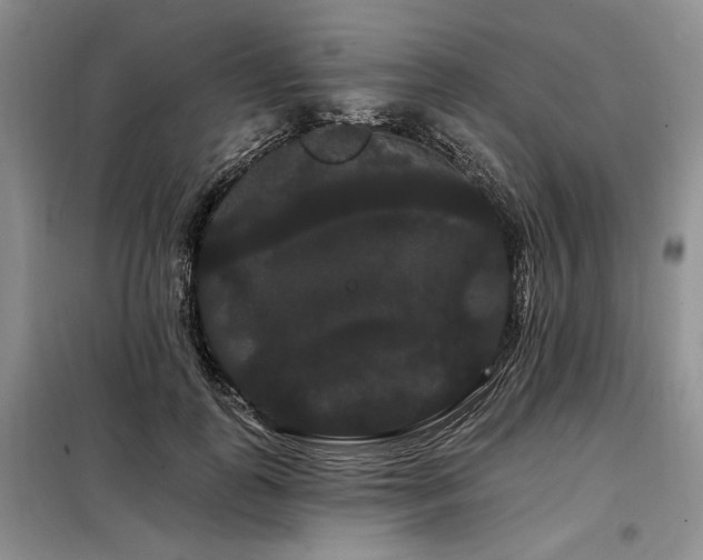 X0000098130747200804171521