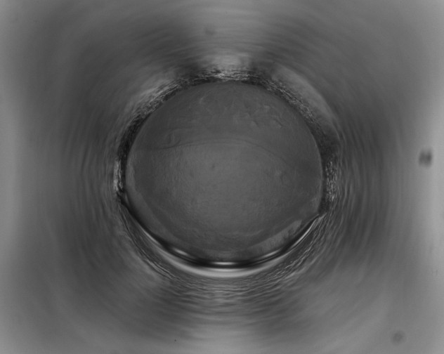 X0000098130748200804171521