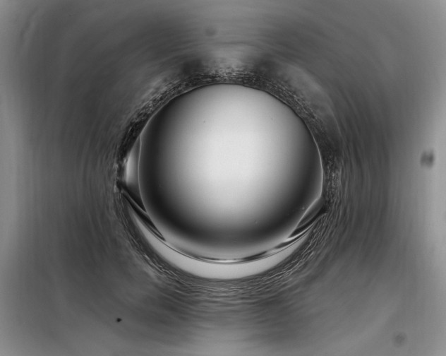 X0000098130750200804171521