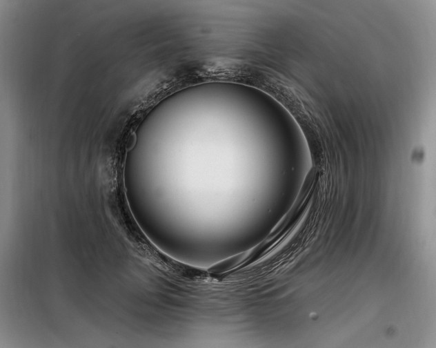 X0000098130751200804171521