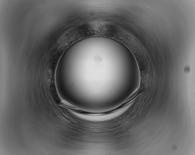 X0000098130752200804171521