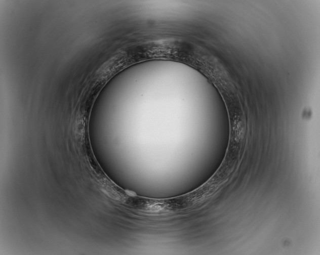 X0000098130753200804171521