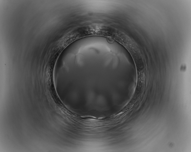 X0000098130754200804171521