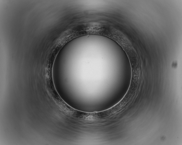 X0000098130755200804171521