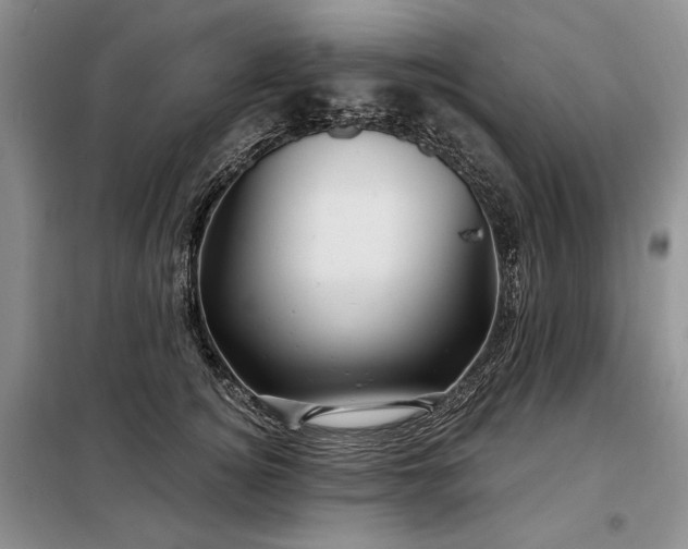 X0000098130756200804171521
