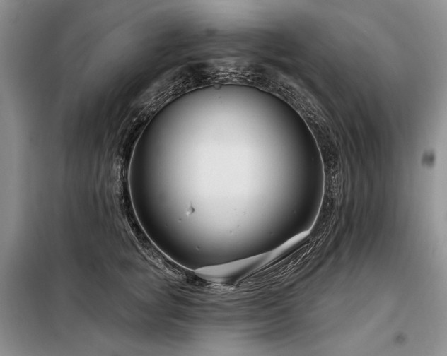 X0000098130757200804171521