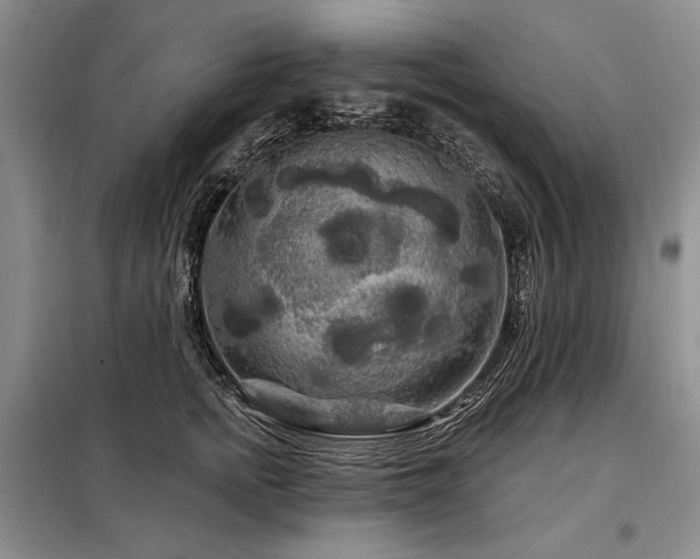 X0000098130758200804171521