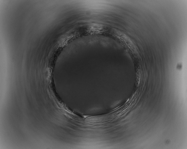 X0000098130759200804171521