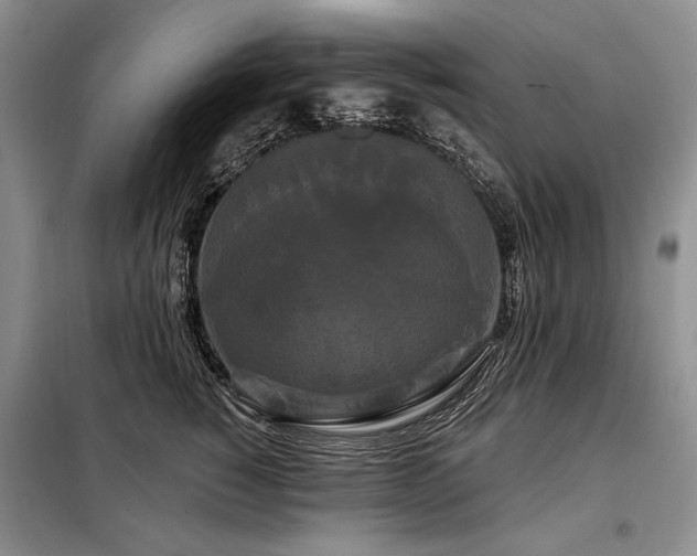 X0000098130760200804171521