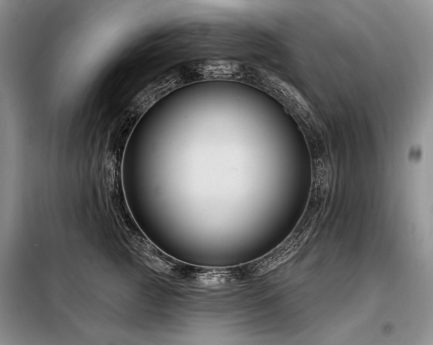 X0000098130761200804171521