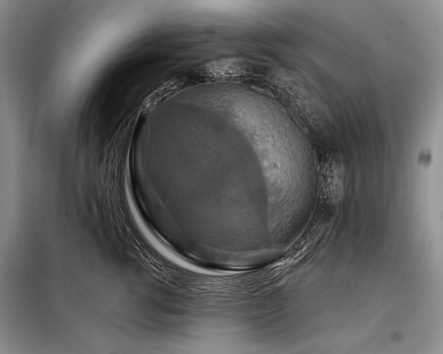 X0000098130762200804171521