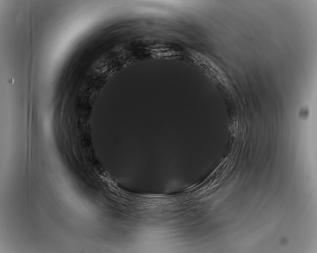 X0000098130763200804171521