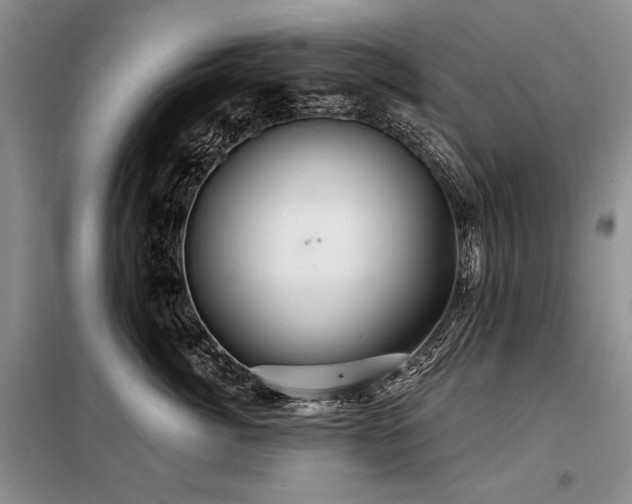 X0000098130764200804171521