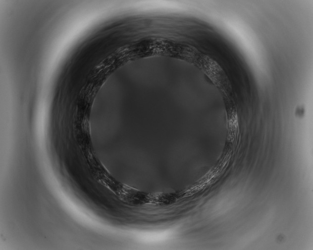 X0000098130765200804171521