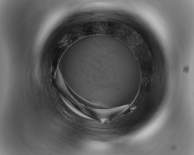 X0000098130766200804171521