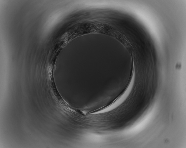 X0000098130767200804171521
