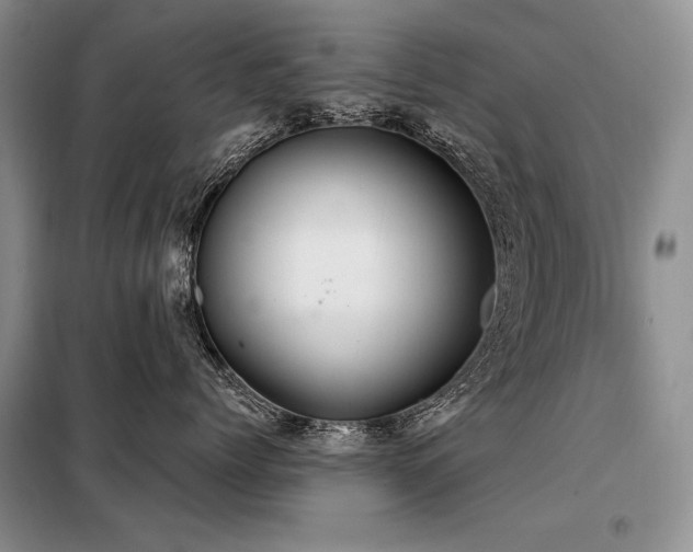 X0000098130768200804171521