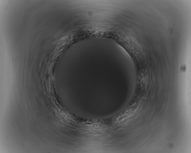 X0000098130769200804171520