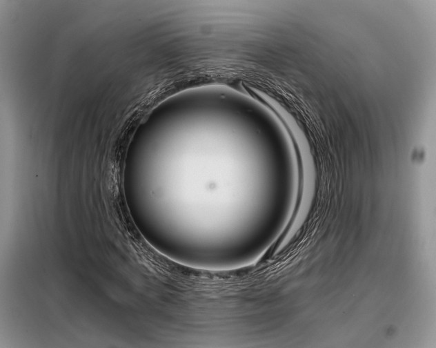 X0000098130772200804171520
