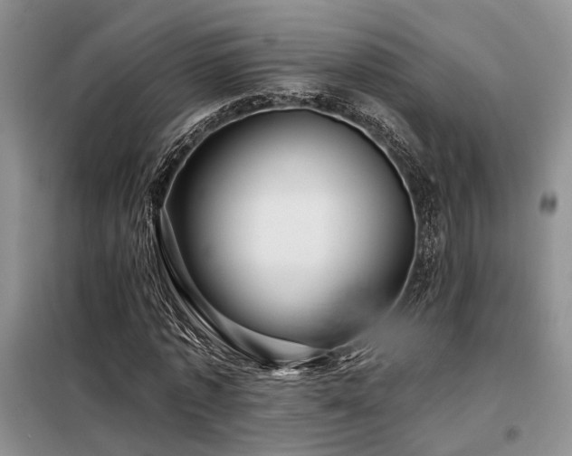 X0000098130773200804171520