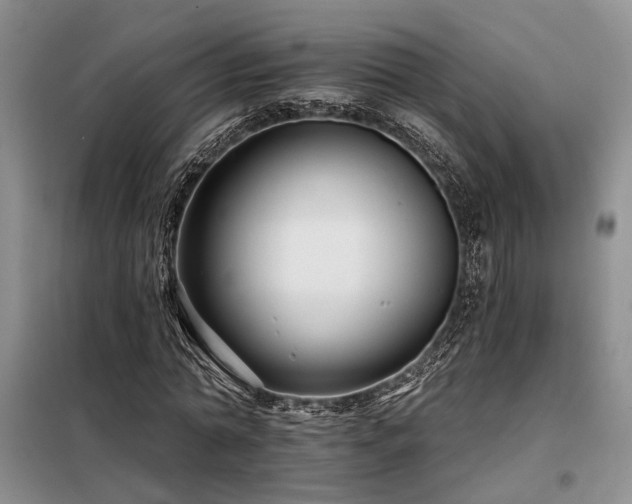 X0000098130774200804171520