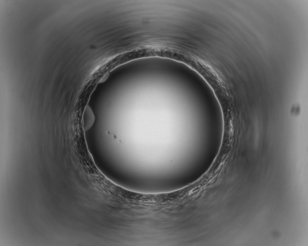 X0000098130776200804171520
