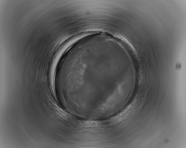 X0000098130777200804171520