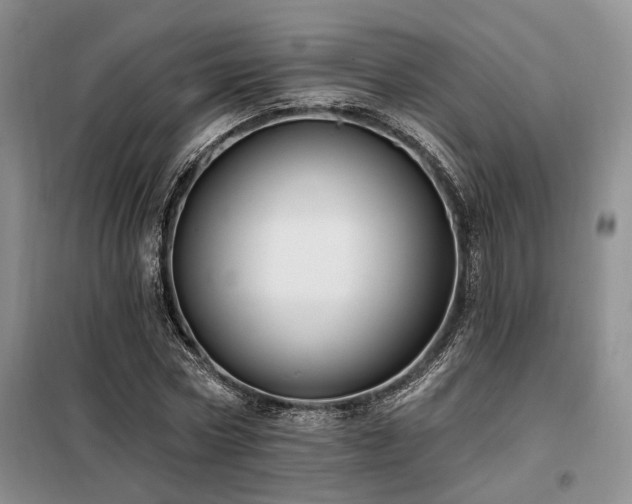 X0000098130778200804171520
