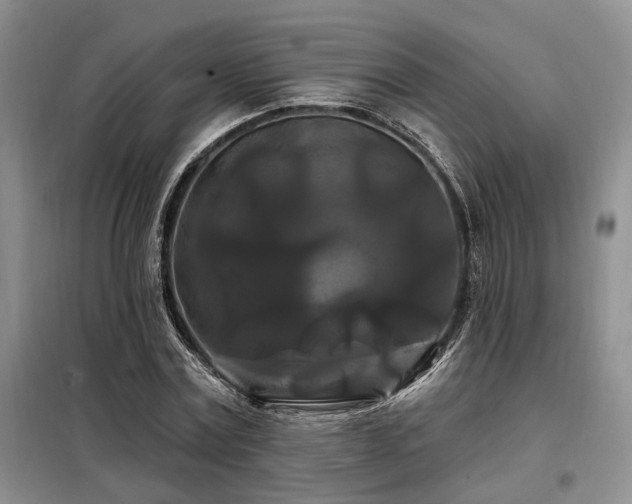 X0000098130779200804171520