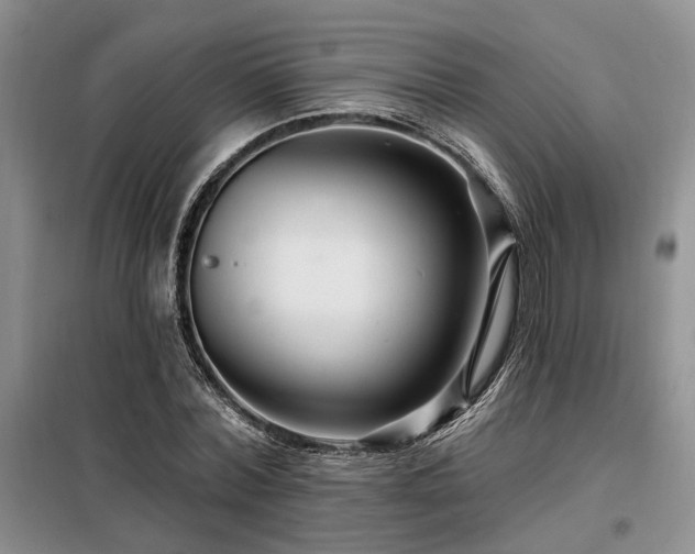 X0000098130780200804171520