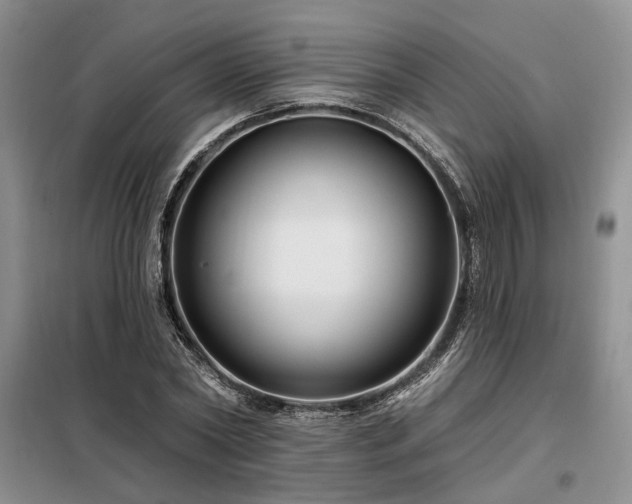X0000098130782200804171520