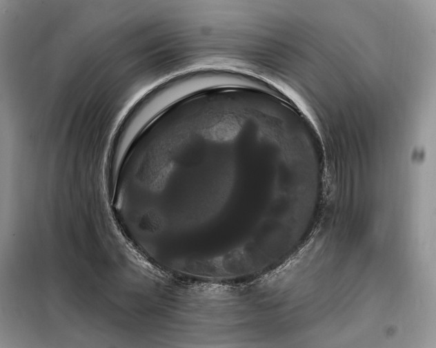 X0000098130783200804171520