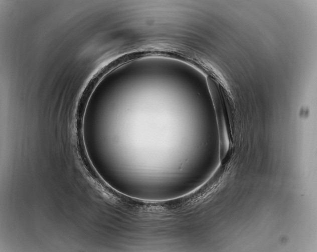 X0000098130784200804171520