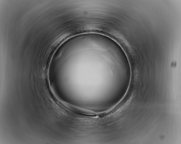 X0000098130785200804171520