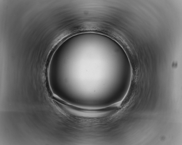 X0000098130786200804171520