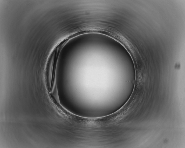 X0000098130787200804171520